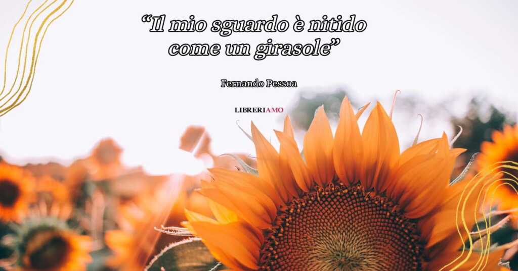 "Il mio sguardo è nitido come un girasole" (1914) di Pessoa, una poesia sul bisogno d'amore