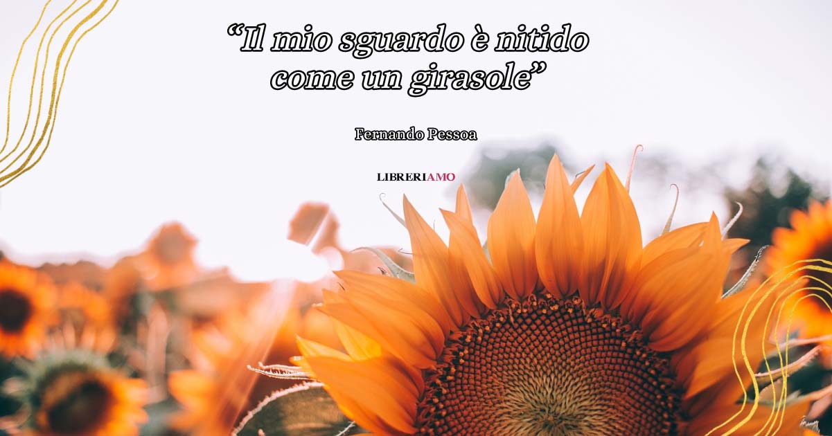 "Il mio sguardo è nitido come un girasole" (1914) di Pessoa, una poesia sul bisogno d'amore 2 "Il mio sguardo è nitido come un girasole" (1914) di Pessoa, una poesia sul bisogno d'amore