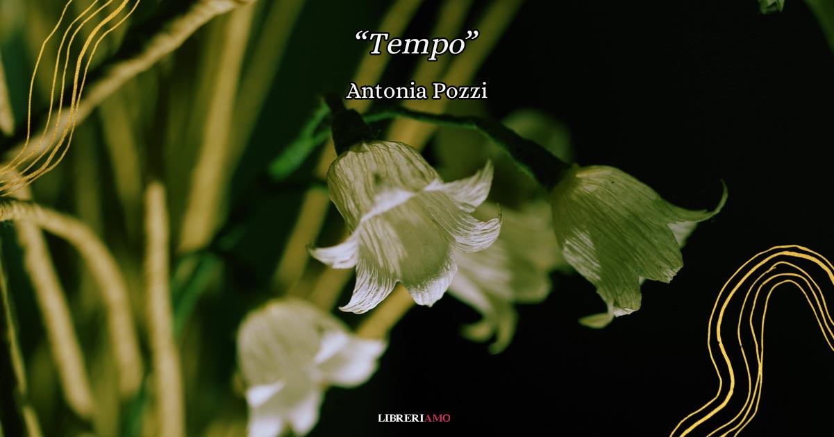 tempo antonia pozzi