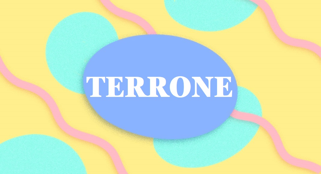 "Cambiamo l'eccezione negativa della parola Terrone", appello alla Crusca