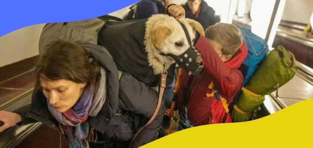 Ucraina, un popolo in fuga che non si separa dai suoi animali