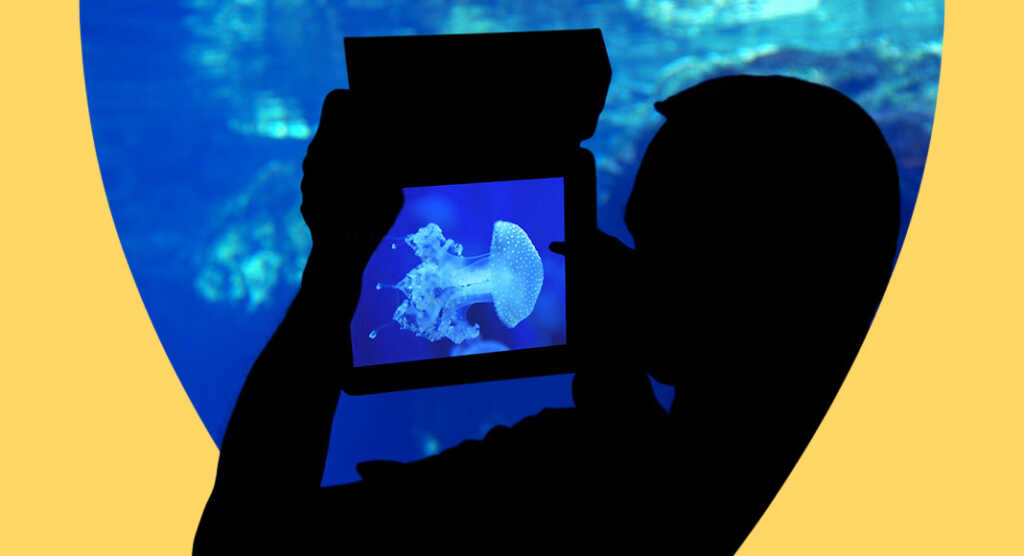 visita-virtuale-acquario-genova (1)