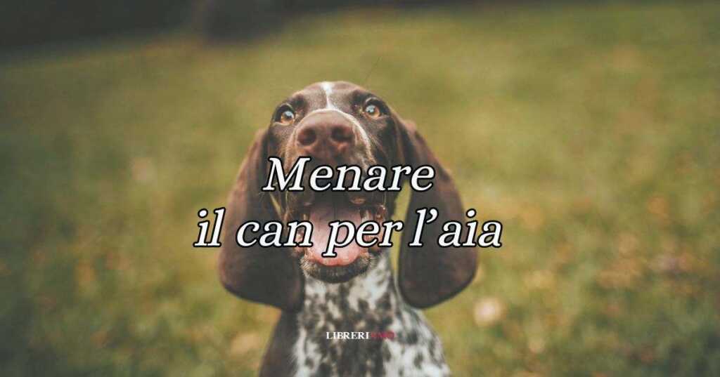 Menare il can per l'aia significato e origine del modo di dire
