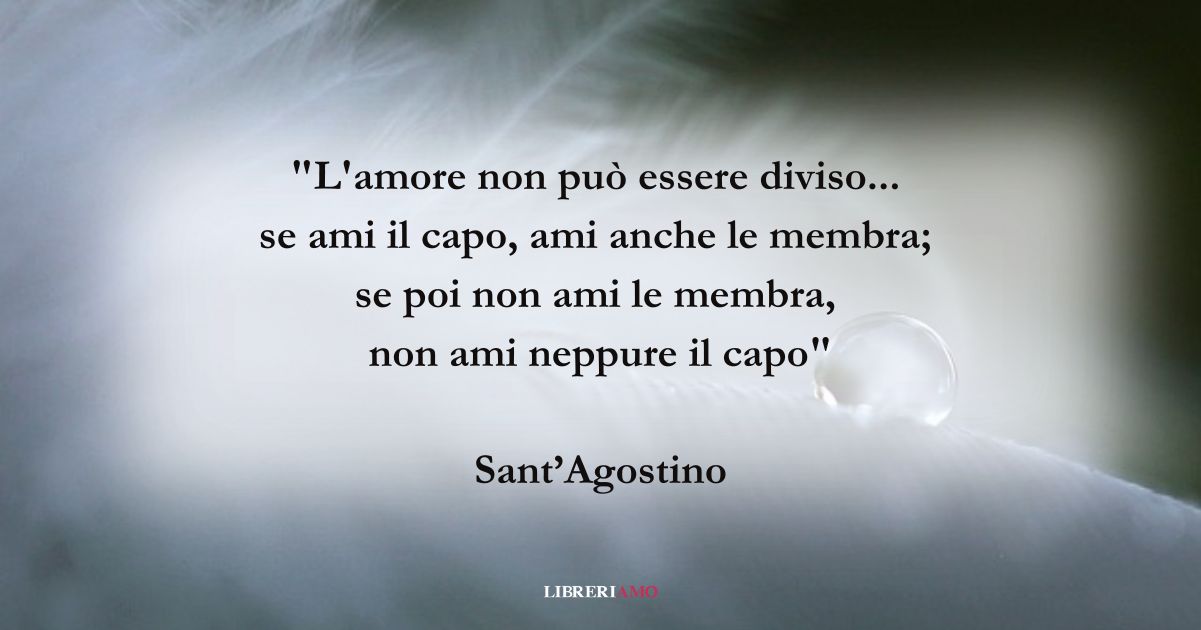 Una frase di Sant'Agostino sulla grandezza dell'amore 3 Una frase di Sant'Agostino sulla grandezza dell'amore