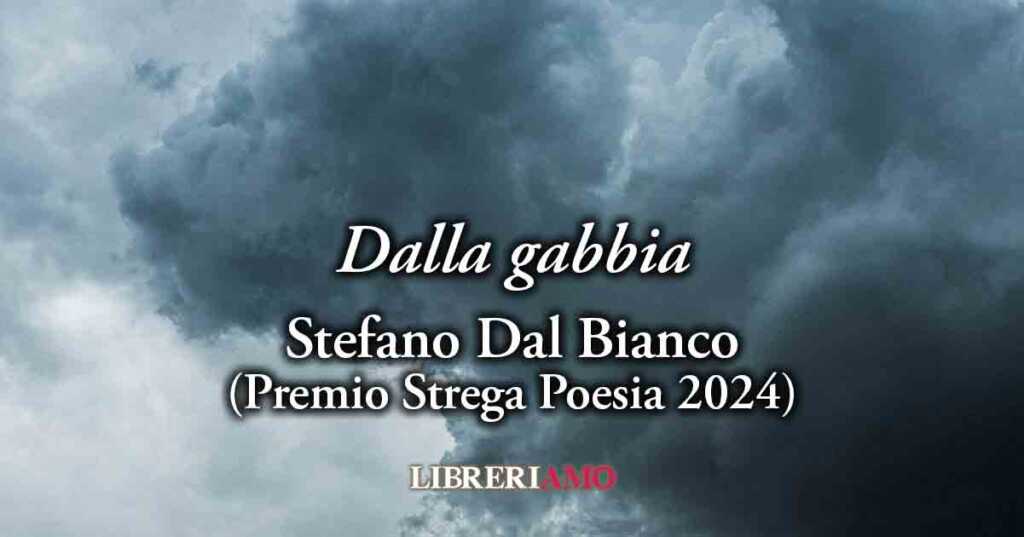 "Dalla gabbia" (2012) di Stefano Dal Bianco, geniale poesia sul dolore esistenziale degli umani