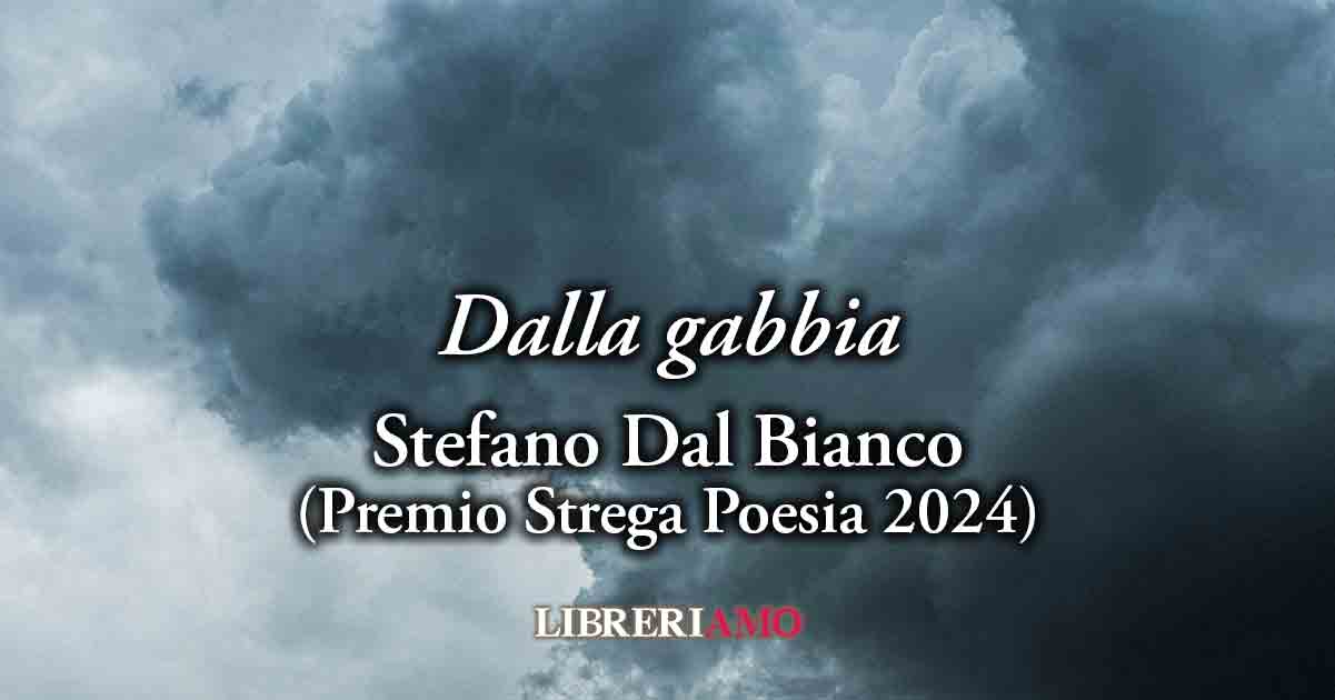 "Dalla gabbia" (2012) di Stefano Dal Bianco, geniale poesia sul dolore esistenziale degli umani 3 "Dalla gabbia" (2012) di Stefano Dal Bianco, geniale poesia sul dolore esistenziale degli umani
