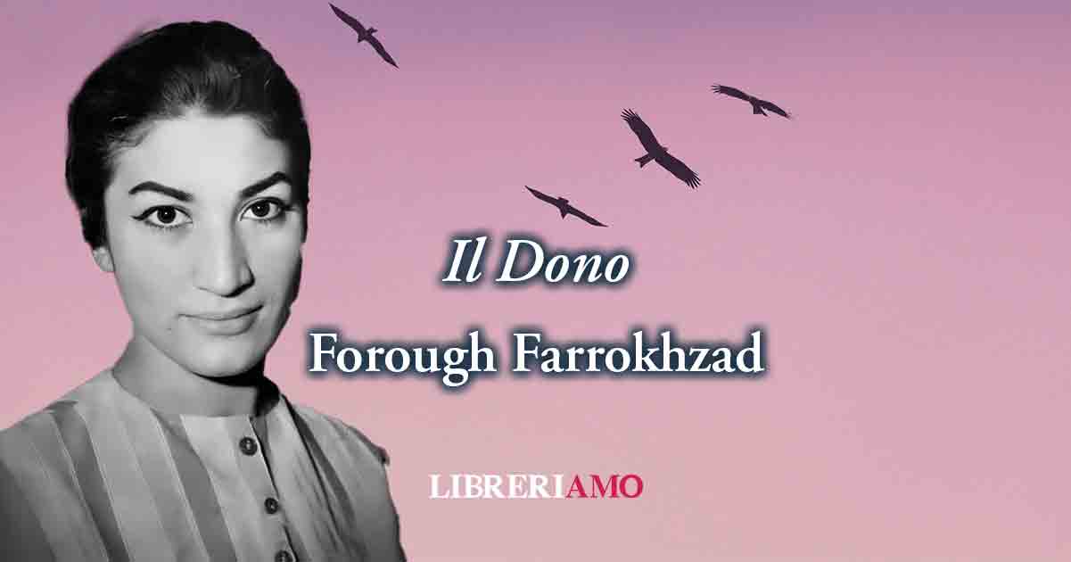 "Il Dono" di Forough Farrokhzad, poesia sul valore della libertà di tutte le donne 10 "Il Dono" di Forough Farrokhzad, poesia sul valore della libertà di tutte le donne