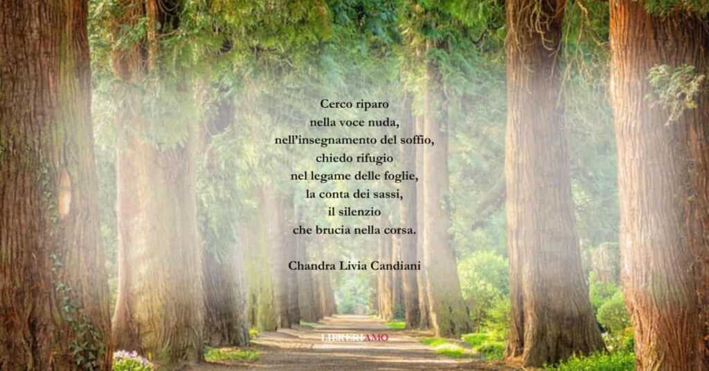 I versi di Chandra Livia Candiani sulla bellezza della vita