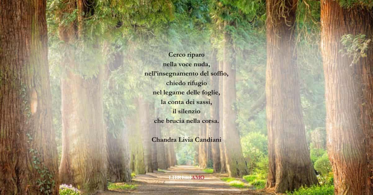 I versi di Chandra Livia Candiani sulla bellezza della vita