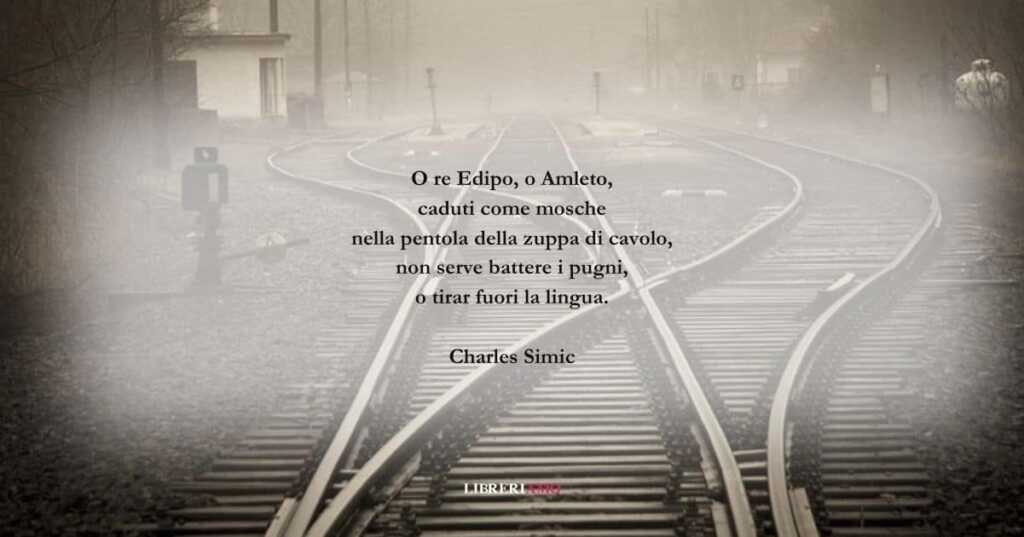 I versi di Charles Simic sul valore del nostro destino