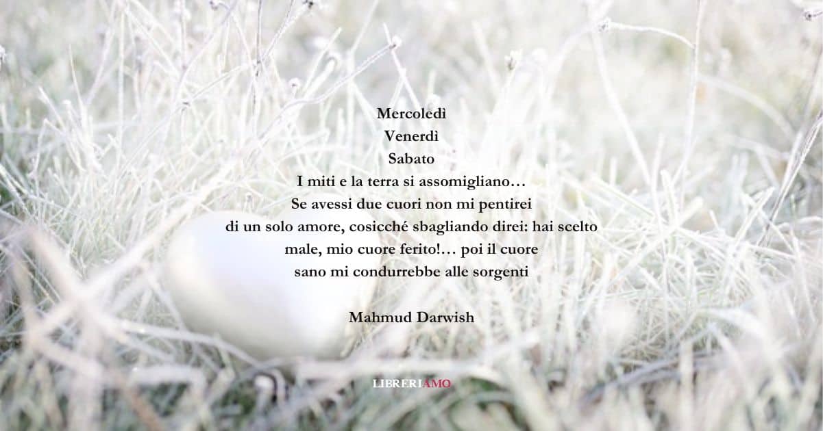 I versi di Mahmud Darwish per un fine settimana d'amore 4 I versi di Mahmud Darwish per un fine settimana d'amore