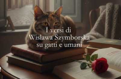 I versi di Wislawa Szymborska sul legame fra i gatti e gli umani