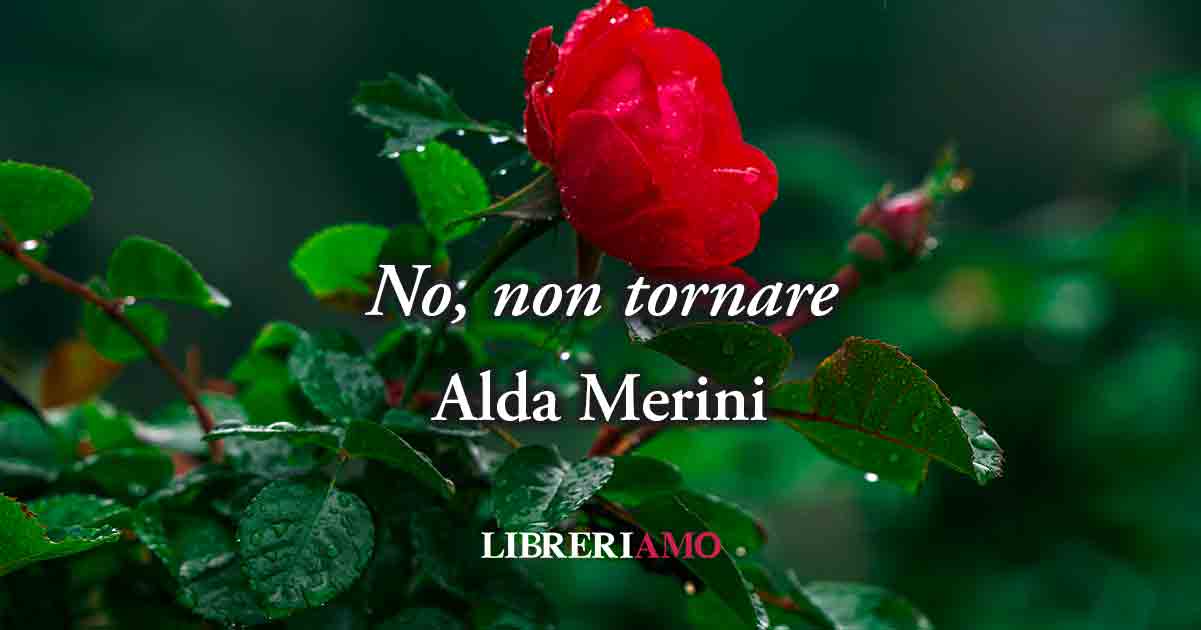 "No, non tornare" (1980) di Alda Merini, il piacere della solitudine per non soffrire d'amore 6 "No, non tornare" (1980) di Alda Merini, il piacere della solitudine per non soffrire d'amore