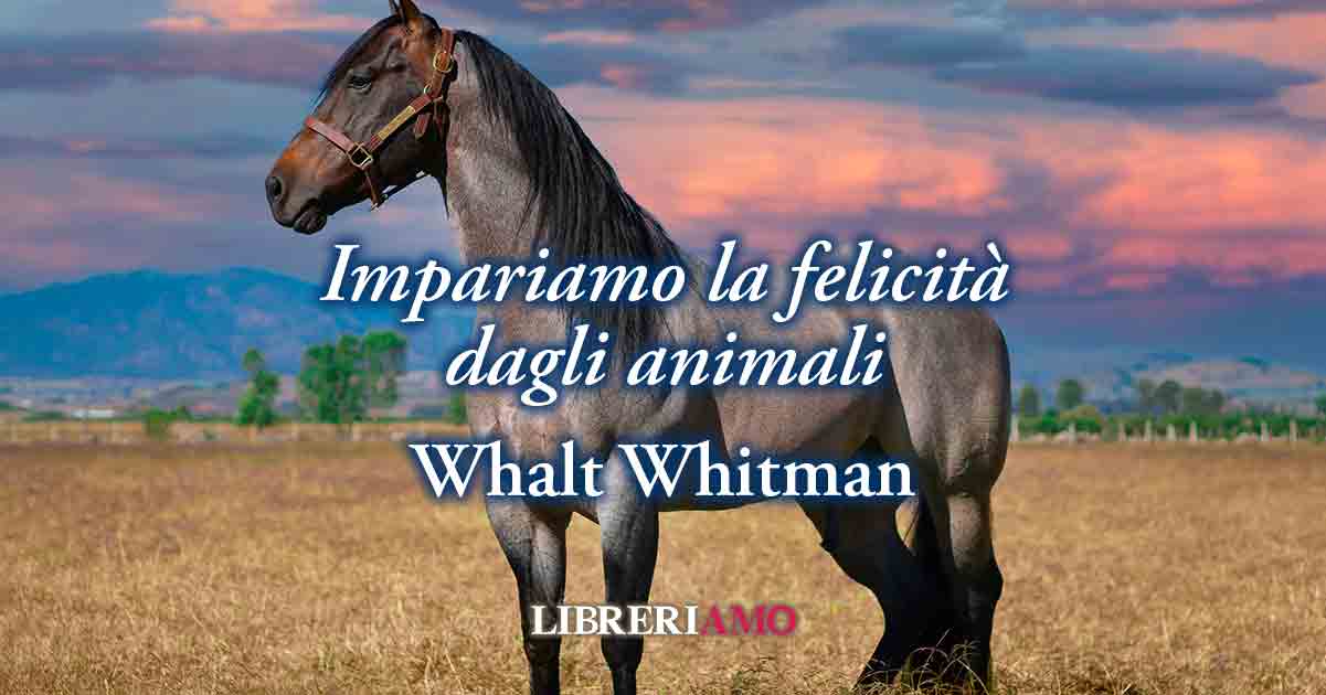 Una poesia di Whalt Whitman su come la felicità s'impara dagli animali