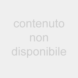 La relazione segreta sulle statue censurate: “Fu per ordine dell’Iran”