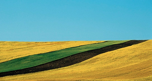 Franco Fontana