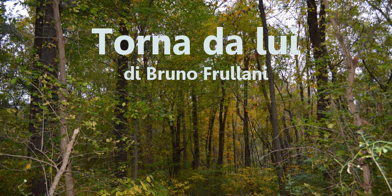 Torna da lui - racconto di Bruno Frullani