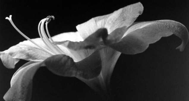12072012011820 sm 2482
