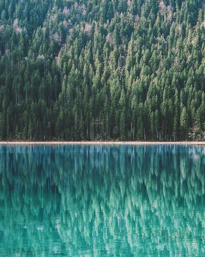 16 year old nature photographer jannik obenhoff 25 57c9399898db6 700