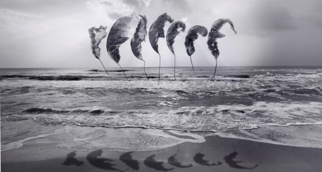 28082012184250 sm 2623