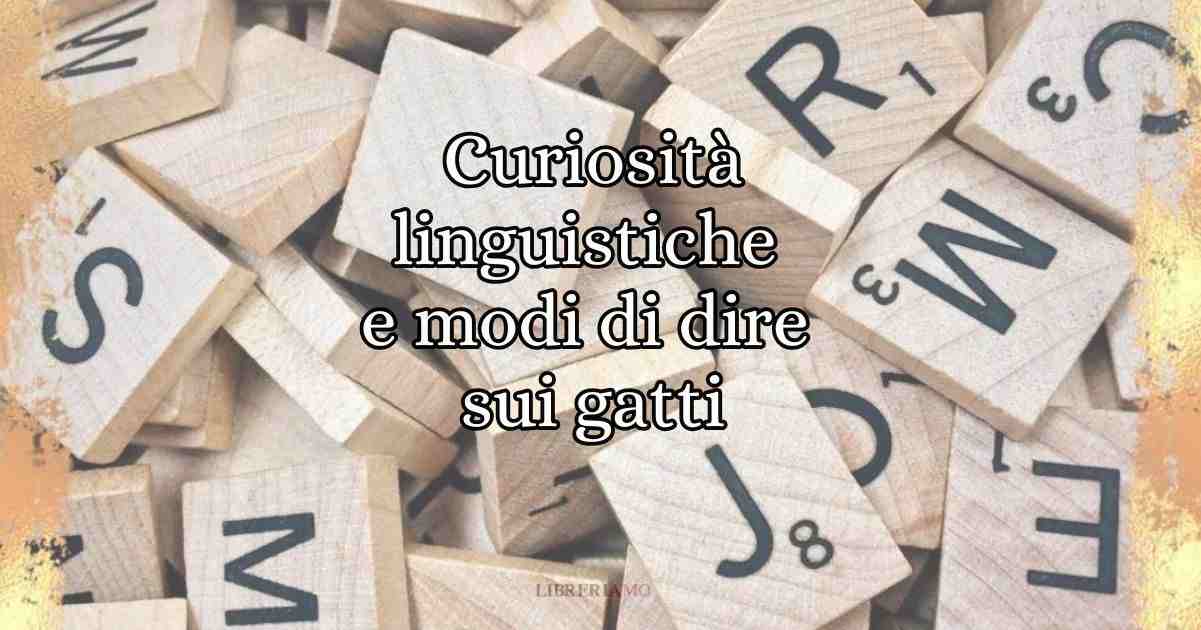 6 curiosità linguistiche e modi di dire sui gatti