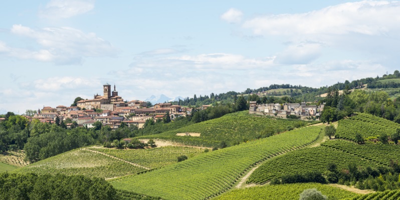 A Barolo larte cinese