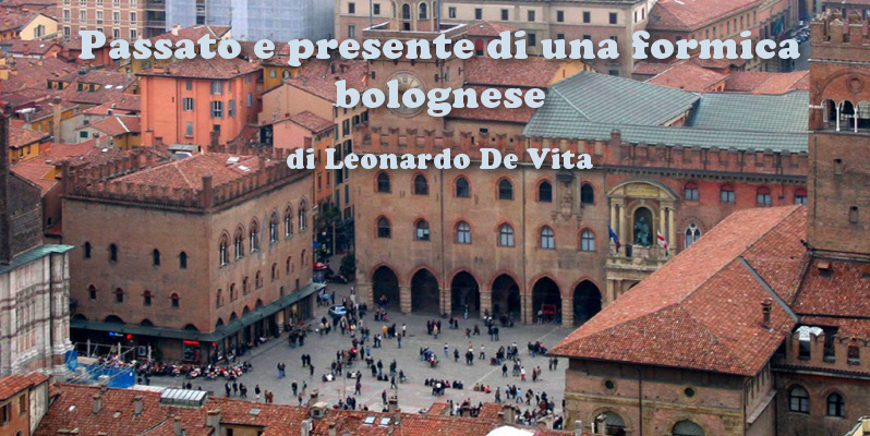 Passato e presente di una formica bolognese - racconto di Leonardo De Vita