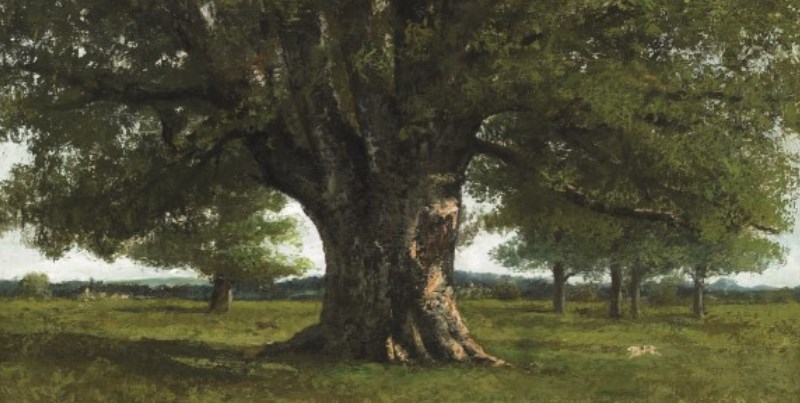 Courbet e la natura