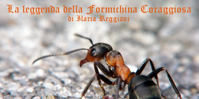 La leggenda della Formichina Coraggiosa - racconto di Ilaria Reggiani