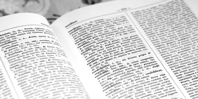 Neologismi legati alla cultura