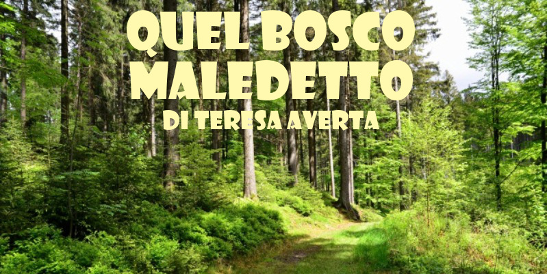 Quel bosco maledetto - racconto di Teresa Averta