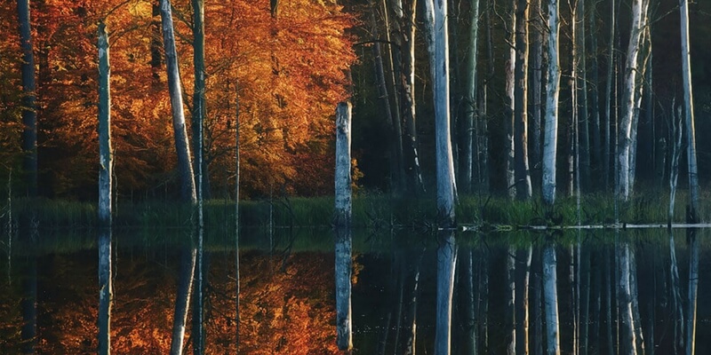 "Autunno al lago", gli scatti del fotografo daltonico Kilian Schönberger