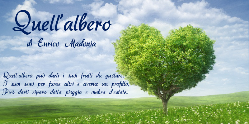 Quell'albero - di Enrico Madonia