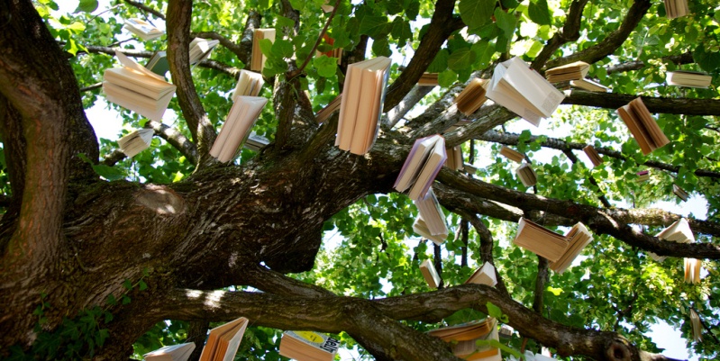 Passalibro, il bookcrossing di successo a Treviso