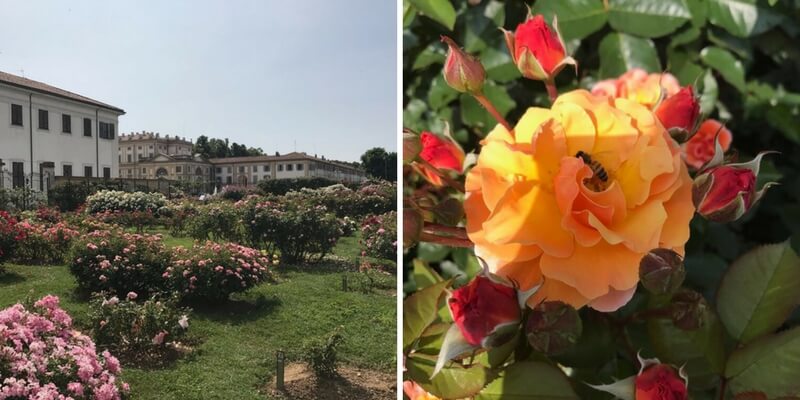 Monza omaggia Jane Austen nel bicentenario della sua morte