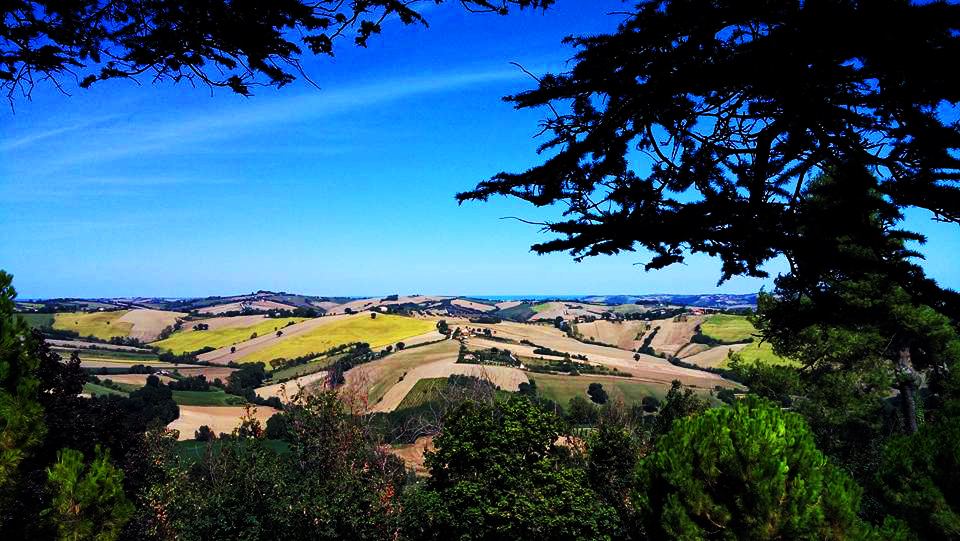 Vista dell'entroterra marchigiano - Foto di Chiara Giacobelli