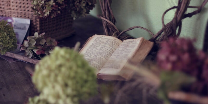 book I dont like 1