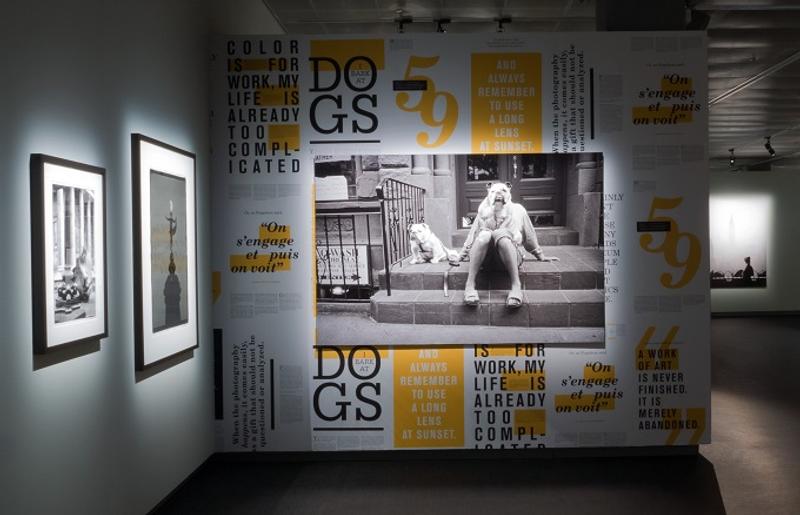 fotografiska stockholm sweden