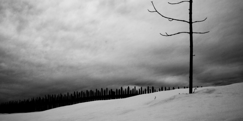 Il dolore - racconto di Aventino Loi