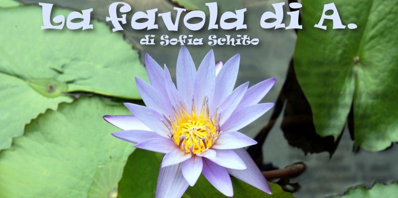 La favola di A. – di Sofia Schito