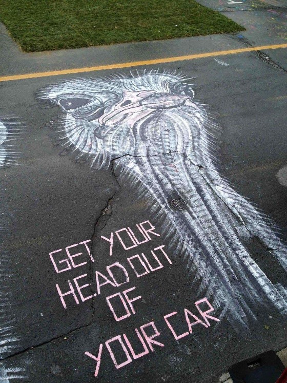 ostrich 02
