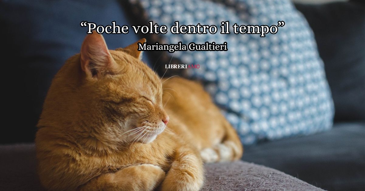 “Poche volte dentro il tempo” (2024) di Gualtieri, una poesia per imparare a rallentare