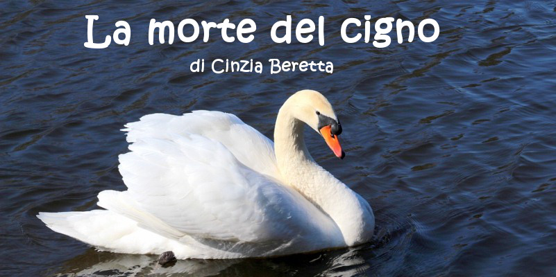 La morte del cigno - racconto di Cinzia Beretta