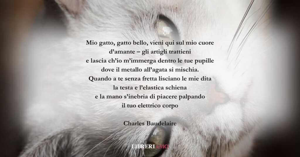 I versi di Charles Baudelaire dedicati al suo amato gatto