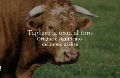 “Tagliare la testa al toro”, l'origine del modo di dire legato al Giovedì Grasso