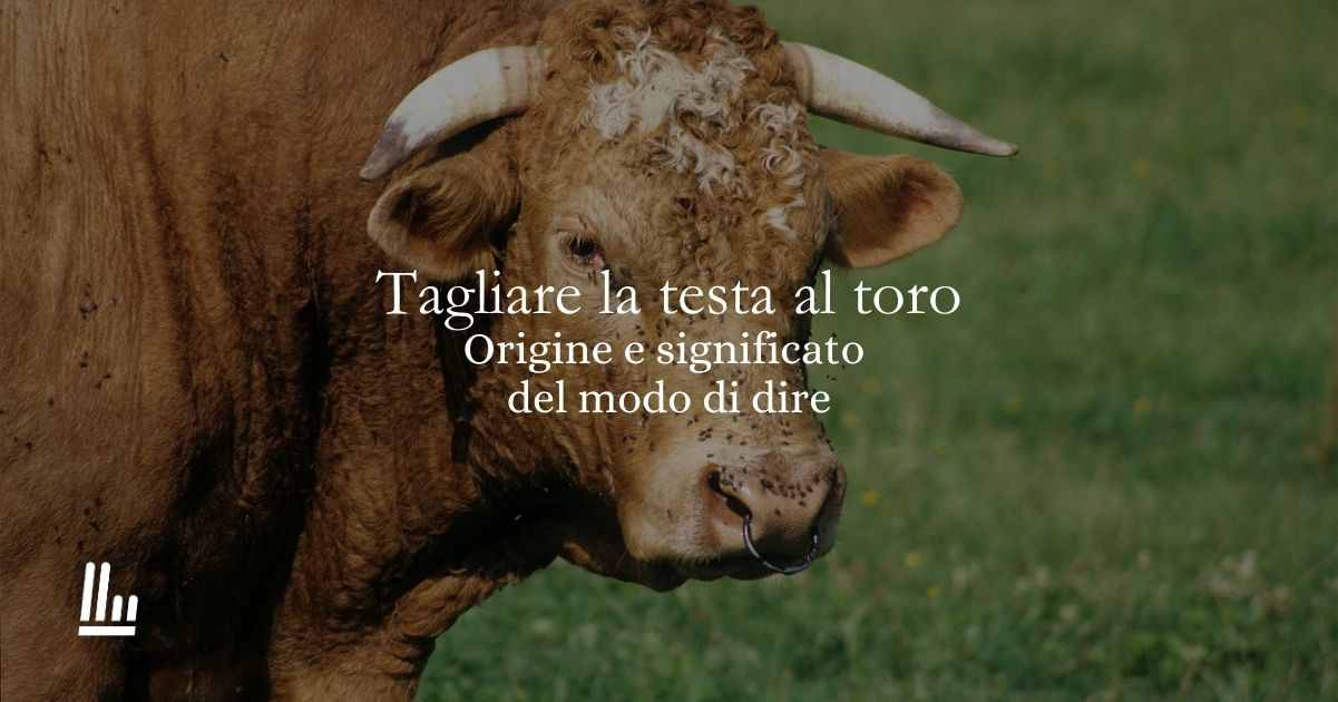 “Tagliare la testa al toro”, l’origine del modo di dire legato al Giovedì Grasso