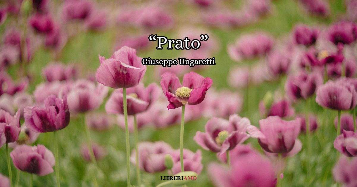 “Prato” (1931), la potente poesia di Ungaretti sulla primavera come simbolo di rinascita 4 “Prato” (1931), la potente poesia di Ungaretti sulla primavera come simbolo di rinascita