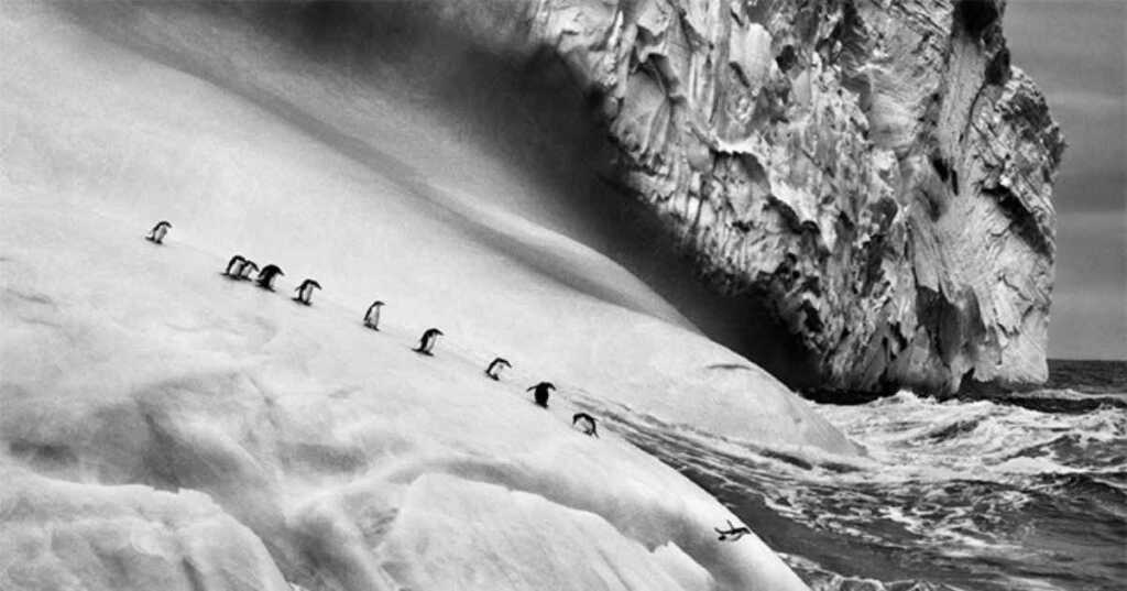 Ghiacciai, l'ultimo progetto di Sebastião Salgado in difesa dell'ambiente
