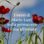 I versi di Mario Luzi sulla primavera vicina all'estate