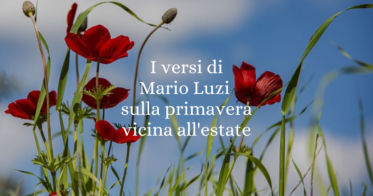I versi di Mario Luzi sulla primavera vicina all'estate